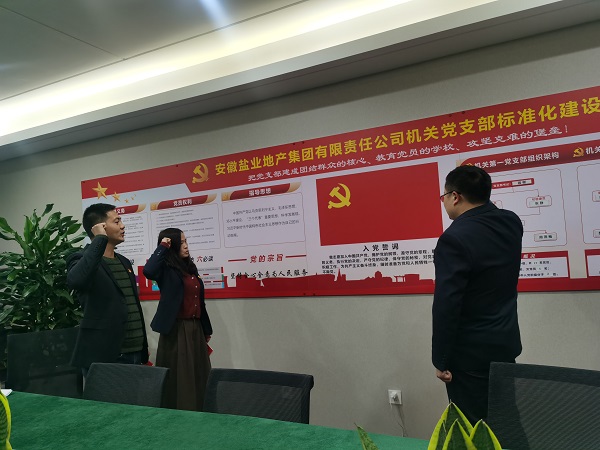 安徽鹽業(yè)地產(chǎn)集團(tuán)機(jī)關(guān)第一黨支部開展“佩黨徽、誦誓詞、贈(zèng)黨章、上黨課”黨員教育活動(dòng)